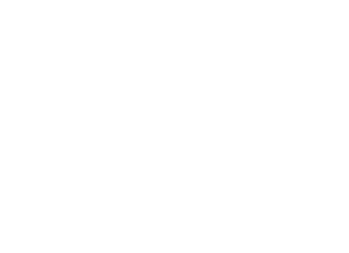 bw_Logo-transparent-top-start4